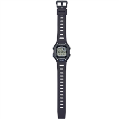 WS-B1000-1AVDFc
