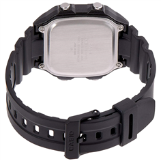 AE-1300WH-1A2c