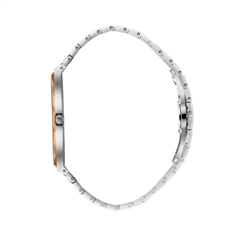 BP3667X.330c