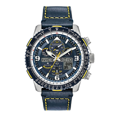 JY8078-01L