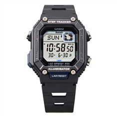 WS-B1000-1AVDFa